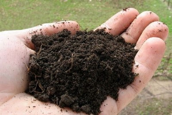 skład gleby