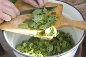 Come preparare e mantenere in casa l'acetosa fresca e gustosa per l'inverno