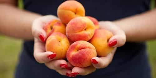 geoogste abrikozen