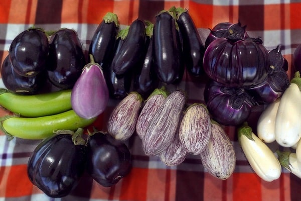 aubergine voorbereiding