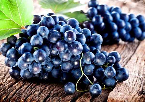 Fekete szőlő