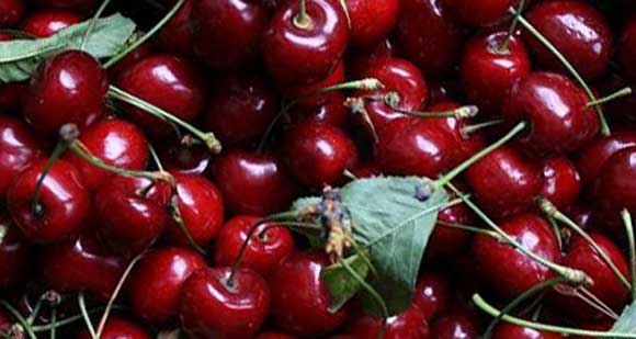 sariwang cherry
