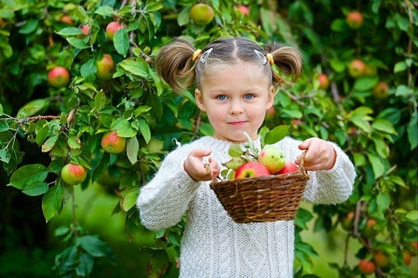 dievča s jablkami