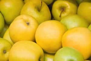 Περιγραφή και κύρια χαρακτηριστικά της ποικιλίας μήλου φθινοπώρου-χειμώνα Limonka