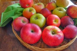 Opis odrody jabloní Pervouralskoye, charakteristika ovocia a pestovateľských oblastí