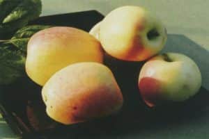 „Rizhsky Golubok“ obuolių veislės aprašymas, derlingumo savybės ir auginimo regionai