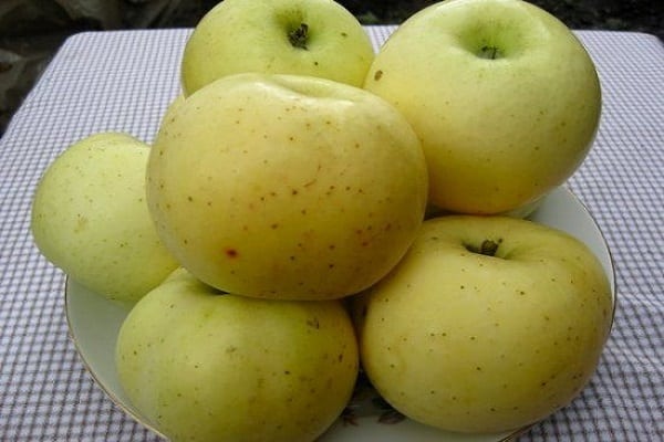 drviace jablká