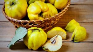Prečo je quince tak užitočné pre ľudské telo, indikácie a kontraindikácie