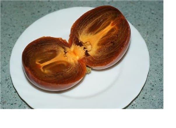 chocolade persimmon