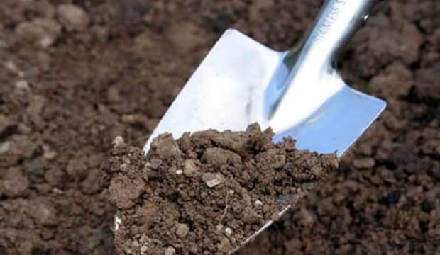 soil for planting