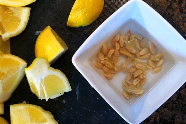 lumalagong limon