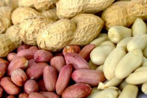 Skader og fordele ved jordnødder for den menneskelige krop, egenskaber og vitaminer i jordnødder