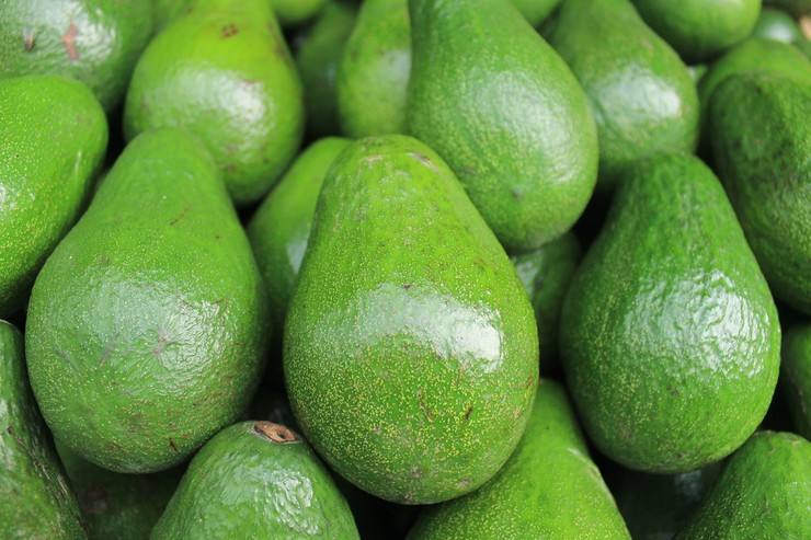 rijpe avocado