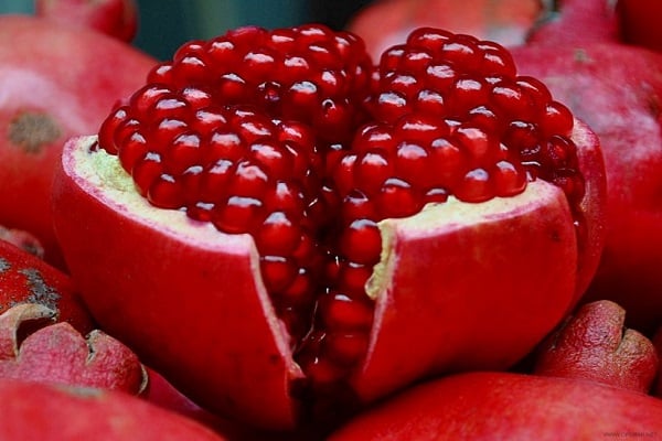 calorie content of pomegranate