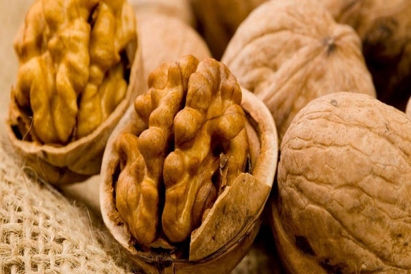 walnut nucleoli