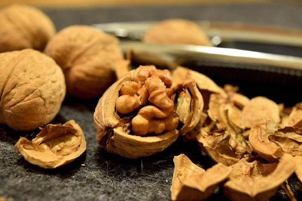 choose a nut