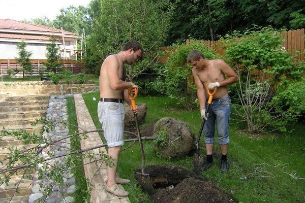 muži kopat