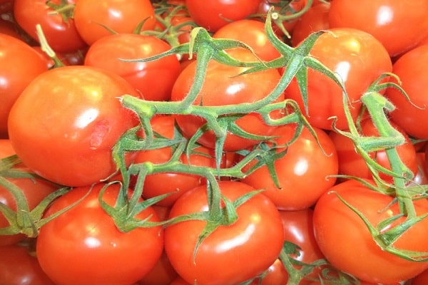 mehukkaita tomaatteja