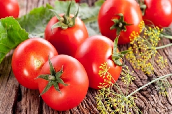 tomates estándar