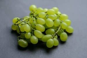 Description and characteristics, resistance to diseases of the Daria grape variety and growing rules