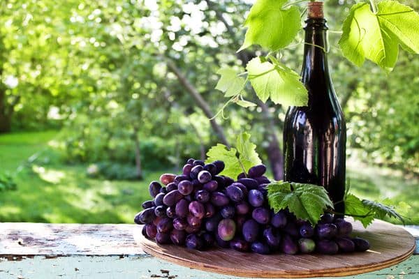 vino y uvas