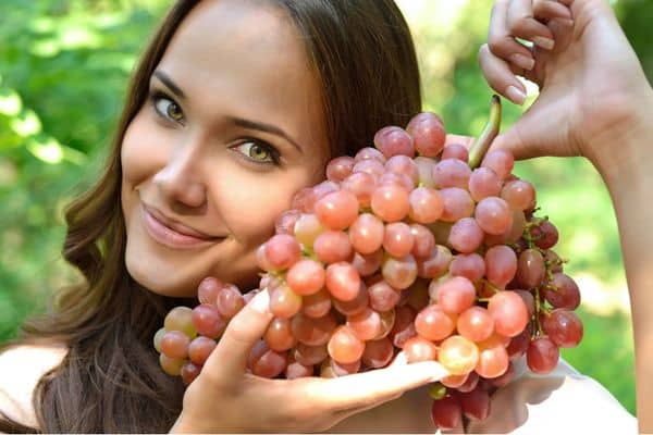 Platovsky grape variety