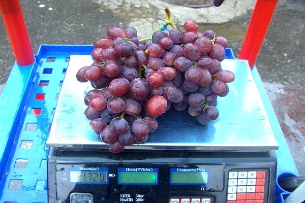 fruit on the scales