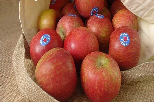 Kiku æbler