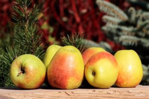 Beschrijving van de appelvariëteit Rossoshanskoe Smakelijk (geweldig), teelt en verzorging
