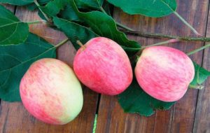Opis i karakteristike stabla jabuka Arkadik, njene prednosti i nedostaci
