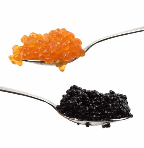 Royal appetizer with red and black caviar