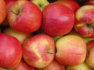 Apfelbaumarkaden