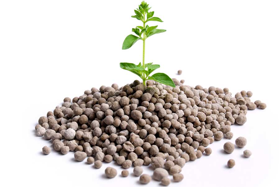  fertilizers ng pospeyt-potasa