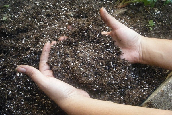 fertilizante en el suelo