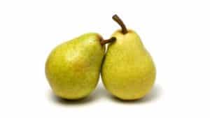 Description and characteristics of Pakham pear varieties, planting, cultivation and care