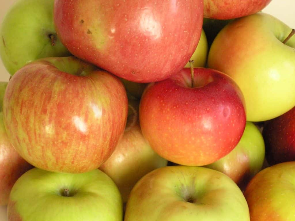 omenapuulaatikko