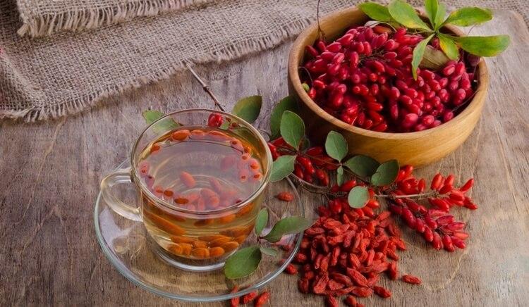 barberry medicinal properties