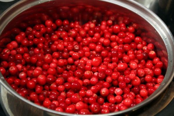 washed lingonberry