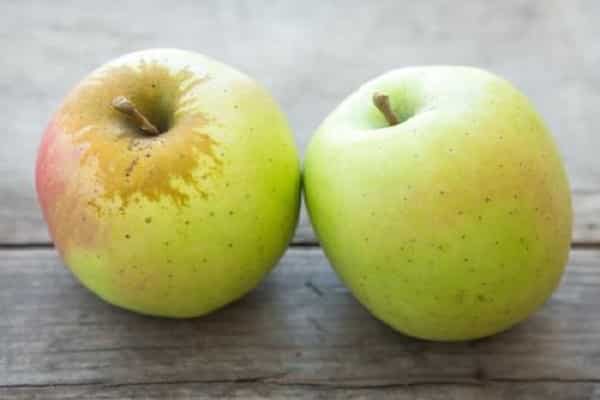 hai trái cây