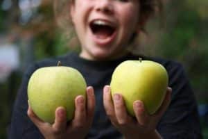 คำอธิบายและลักษณะของแอปเปิ้ล Mutsu การปลูกการปลูกและการดูแลรักษา