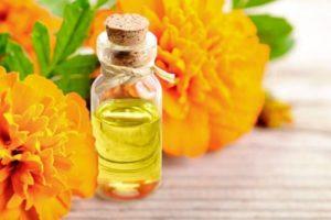 Medicinal properties and contraindications of marigolds, health benefits and harms