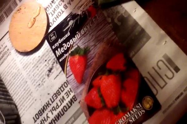 mga strawberry sa isang bag