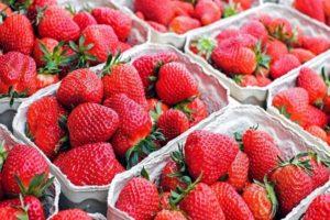 Comment bien conserver les fraises à la maison pour l'hiver