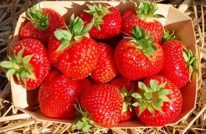 Erdbeeren in einem Tablett