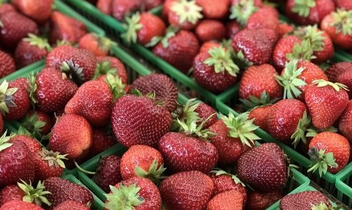 Erdbeer-Malvina