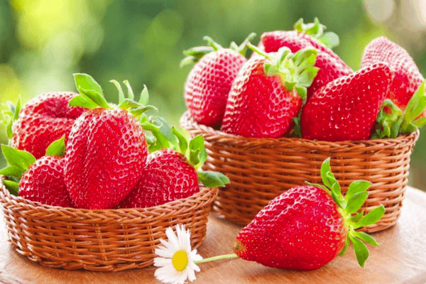 Vases with strawberries