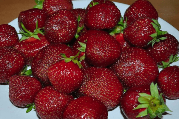 Φρούτα φράουλας