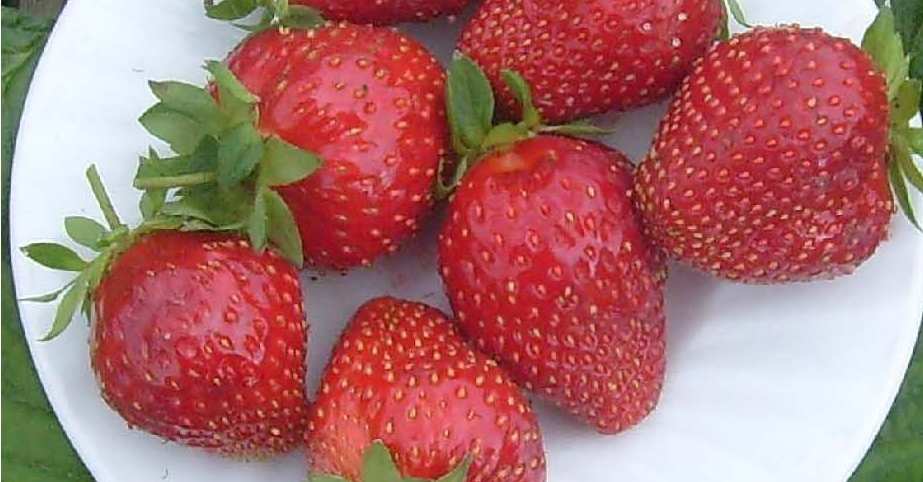 strawberry kama