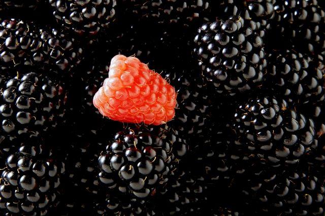 black raspberry