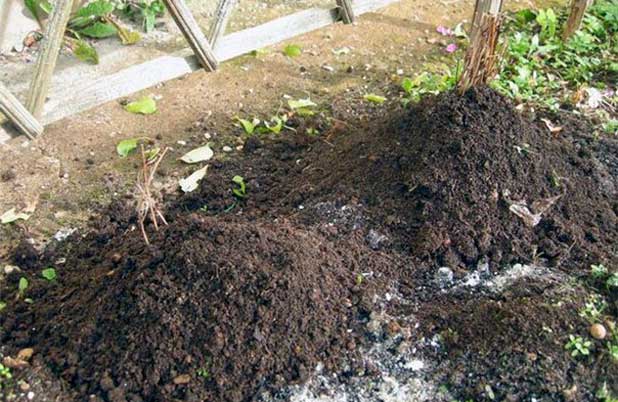 soil treatment